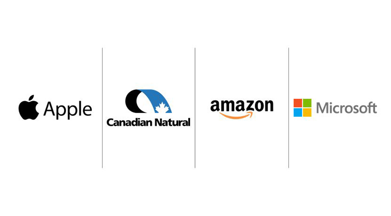 Apple Canadian Natural Amazon Microsoft